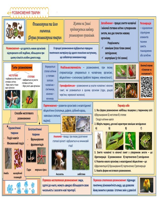 Calaméo - Розмноження та його значення. Форми розмноження тварин